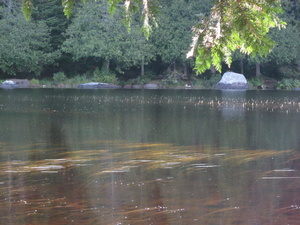 Appalachian Trail Appalachian Trail