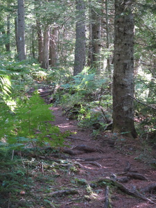 Appalachian Trail Appalachian Trail