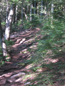 Appalachian Trail Appalachian Trail