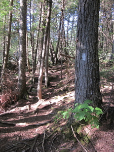 Appalachian Trail Appalachian Trail