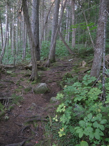 Appalachian Trail Appalachian Trail
