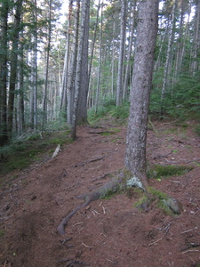 Appalachian Trail Appalachian Trail