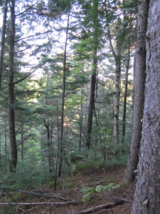 Appalachian Trail Appalachian Trail