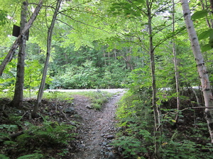 Appalachian Trail Appalachian Trail