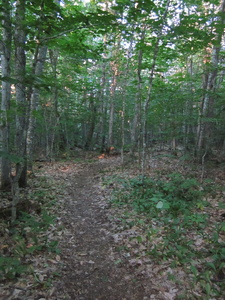 Appalachian Trail Sunset Appalachian Trail Sunset