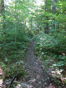 Appalachian Trail 