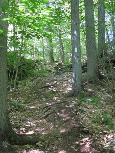 Appalachian Trail 