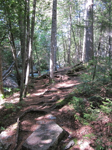 Appalachian Trail 