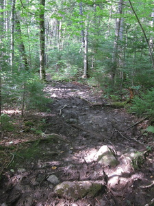 Appalachian Trail 