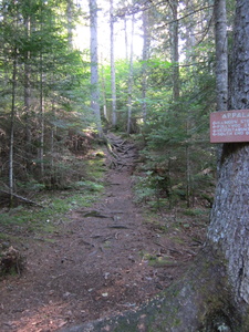 Appalachian Trail 
