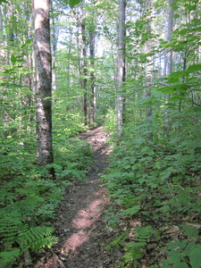 Appalachian Trail 
