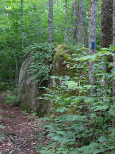 Appalachian Trail Branch trail to Rainbow Mountain