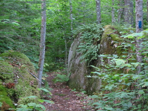 Appalachian Trail Branch trail to Rainbow Mountain