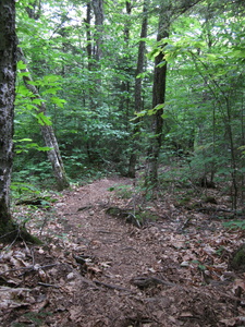 Appalachian Trail 