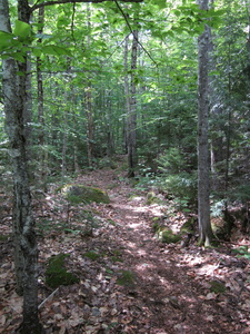 Appalachian Trail 