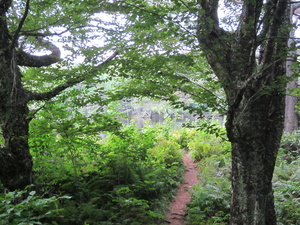 Appalachian Trail 