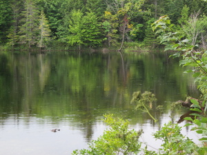 Appalachian Trail Abol Deadwater