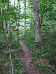 Appalachian Trail 