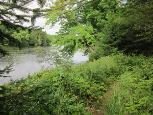 Appalachian Trail Abol Deadwater