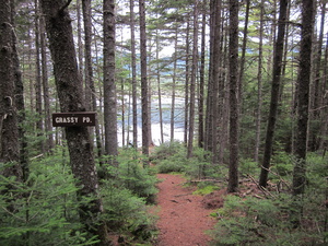 Appalachian Trail Grassy Pond